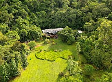 australia/daintree-rainforest/attraction/nightwings-rainforest-centre