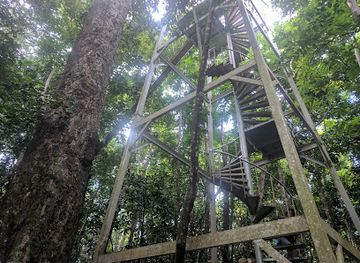 samoa/savai-i-island/attraction/falealupo-canopy-walkway