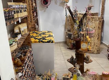 gabon/estuary-province/attraction/galerie-discover-gabon-by-agatour