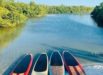 florida/fort-myers/attraction/three-brothers-dolphin-and-manatee-adventure-fort-myers