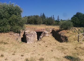 italy/val-di-chiana/attraction/necropoli-delle-pianacce