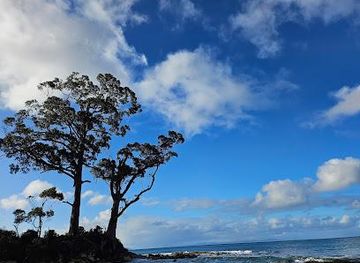 australia/tasman-peninsula/attraction/two-tree-point-resolution-creek-historic-site