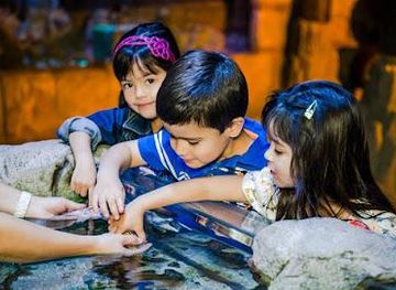 arizona/chandler/attraction/sea-life-arizona-aquarium