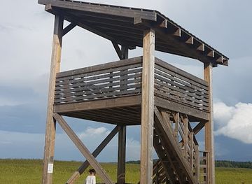 estonia/lahemaa-national-park/attraction/tour-observation