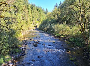 oregon/mount-hood-national-forest/attraction/wildwood-recreation-site