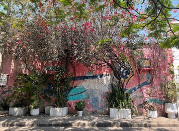 colombia/cartagena/getsemani/attraction/calle-de-las-sombrillas