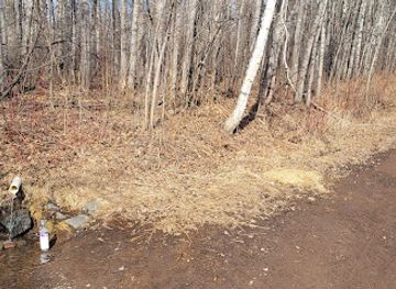 minnesota/duluth/attraction/artesian-well