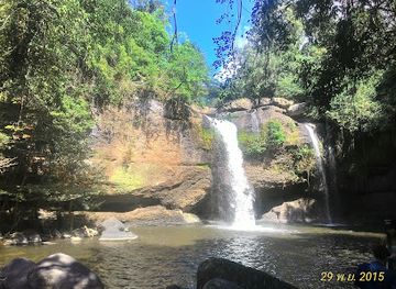 thailand/khao-yai-national-park/attraction/conventional-orchid