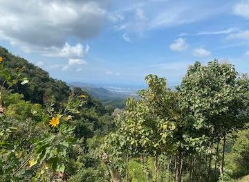 colombia/santa-marta/attraction/jungle-joe-s-minca-tours