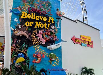 mexico/cancun/attraction/ripley-s-marvelous-mirror-maze-cancun