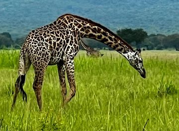 tanzania/zanzibar-archipelago/attraction/anza-zanzibar-tours