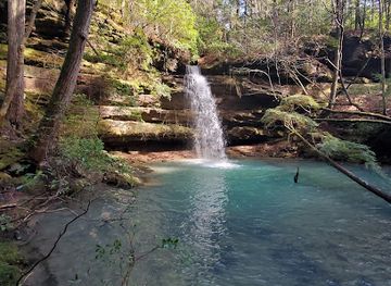 Bankhead National Forest
