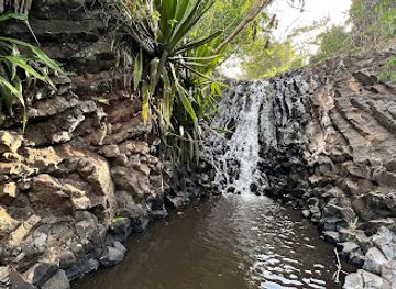 mayotte/maore/attraction/cascade-de-bouyouni