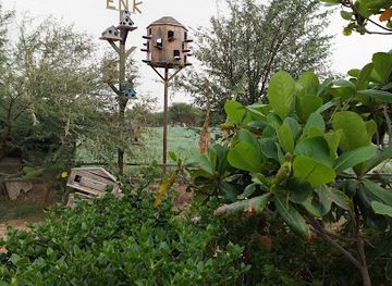 qatar/al-shamal/attraction/enk-farm-museum-classic-cars