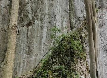 czechia/brno/attraction/holstejn