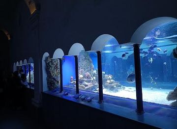 italy/pompeii/attraction/acquario-di-napoli