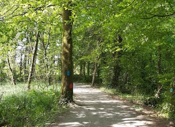ireland/county-tipperary/attraction/marl-bog