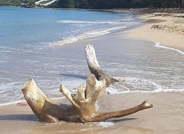 saint-lucia/gros-islet/attraction/choc-bay