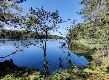finland/lemmenjoki-national-park/attraction/rodjan