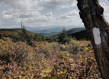 virginia/mount-rogers-national-recreation-area/attraction/appalachian-trail