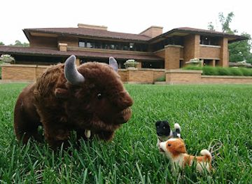 new-york/buffalo/north-buffalo/attraction/frank-lloyd-wright-s-martin-house
