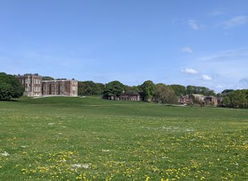 united-kingdom/yorkshire-and-the-humber/attraction/go-ape-temple-newsam