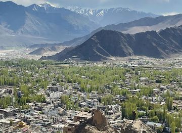 india/ladakh/attraction/old-castle-tsemo-hill