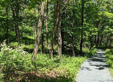 virginia/shenandoah-national-park/attraction/limberlost-accessible-trl