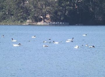 chile/concepcion/attraction/laguna-grande-san-pedro