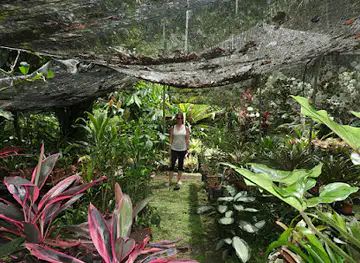 Finca la Isla Permaculture Farm, Plant Nursery and Botanical Garden
