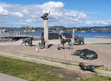 new-zealand/bay-of-plenty/attraction/hairy-maclary-and-friends-sculpture