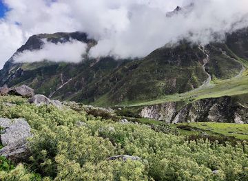 india/valley-of-flowers-national-park/attraction/vasudhara-falls