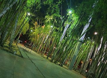 colombia/los-llanos/attraction/plaza-cisneros