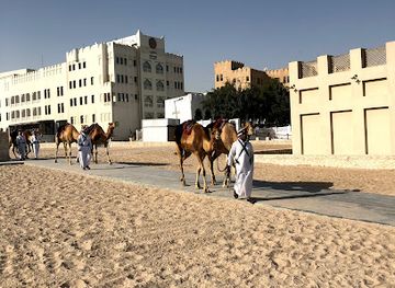 qatar/al-wakra-beach/attraction/camel-pen