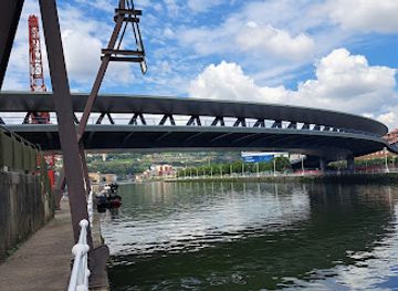 spain/basque-country/attraction/euskalduna-bridge