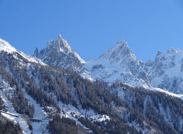 france/chamonix/attraction/paradis-woods