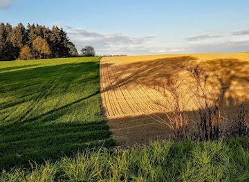 belgium/hesbaye/attraction/bosmuseum-hallerbos