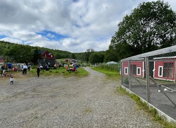 norway/senja-island/attraction/snyfjellet-gard