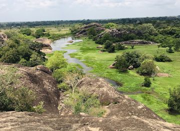 sri-lanka/northern-province/attraction/nelum-pokuna