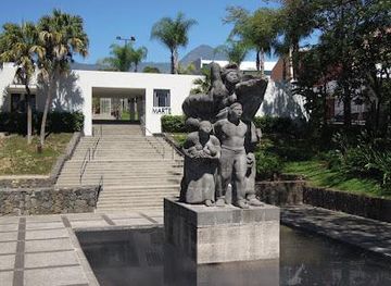 el-salvador/san-salvador/attraction/museum-of-art-of-el-salvador