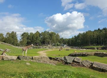 sweden/vastergotland/attraction/boras-zoo