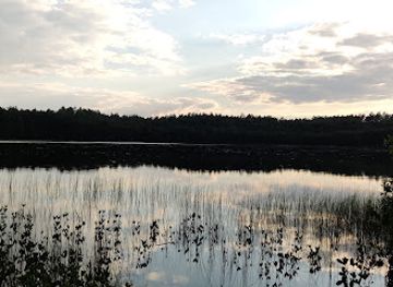 poland/bory-tucholskie/attraction/jezioro-jaszczerek