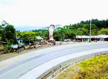 philippines/mindanao/attraction/philippine-eagle-monument