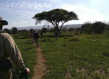 kenya/kilimanjaro-region/attraction/lualenyi-camp