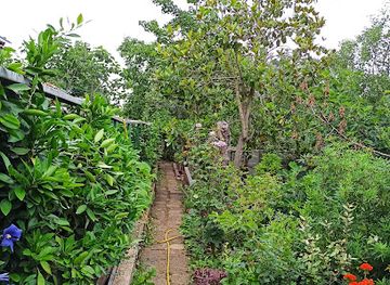 bulgaria/strandzha/attraction/botanical-garden-serafimovi