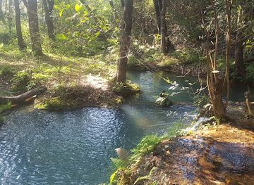 zambia/chirundu-valley/attraction/monkey-pools