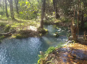 Monkey Pools