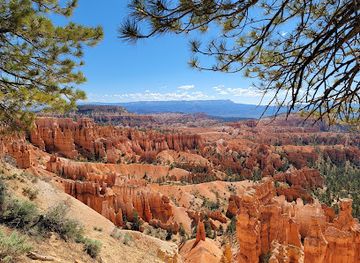 utah/bryce-canyon-city/attraction/bryce-canyon-scenic-tours