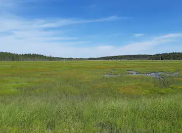 Koivusuo Strict Nature Reserve