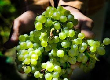 italy/verona/attraction/perla-del-garda